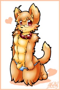 Rating: Explicit Score: 0 Tags: 2009 anthro biped border canid canine canis clothing collar domestic_dog e621 eyewear fur genitals glasses hair heart_symbol inuki kneeling looking_at_viewer male mammal orange_body orange_border orange_fur orange_hair penis red_eyes solo tail tongue undressing User: bunchy7s