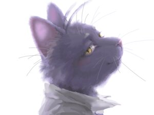 Rating: Safe Score: 0 Tags: 4:3 anthro bedroom_eyes blush bust_portrait clothing collar domestic_cat e621 felid feline felis fur half-closed_eyes looking_at_viewer looking_back male mammal mohatch morenatsu narrowed_eyes portrait purple_body purple_fur realistic seductive shin_kuroi simple_background smile solo unavailable_at_source whiskers white_background yellow_eyes User: bunchy7s