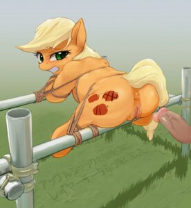 Rating: Explicit Score: 0 Tags: anus applejack_(mlp) bdsm bestiality blonde_hair blush bondage bound butt censored cutie_mark duo e621 earth_pony equid equine erection fapplejackoff female female_on_human feral friendship_is_magic genitals green_eyes hair hasbro hi_res horse human human_on_feral humanoid_genitalia humanoid_penis interspecies male male/female male_on_feral mammal my_little_pony nude orange_body penis pony tail vein veiny_penis vulva User: bunchy7s