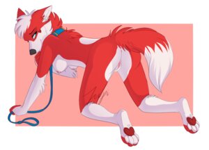 Rating: Explicit Score: 0 Tags: anthro blue_eyes breasts butt canid canine canis dipstick_tail e621 elly_(wolfelysia) female fur genitals half-closed_eyes heart_symbol juupi leash looking_back mammal markings multicolored_body multicolored_fur multicolored_tail narrowed_eyes nipples nude pawpads paws red_body red_fur red_tail smile solo tail tail_markings two_tone_body two_tone_fur two_tone_tail vulva white_body white_fur white_tail wolf User: bunchy7s