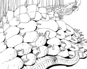 Rating: Explicit Score: 0 Tags: animal_genitalia bodily_fluids breast_milking breasts cloaca dokumushi e621 female genital_fluids genitals horizontal_cloaca lactating machine milking_machine multi_breast nightmare_fuel non-mammal_breasts reptile scalie snake solo vaginal_fluids User: bunchy7s Rating: Explicit Score: 0 Tags: animal_genitalia bodily_fluids breast_milking breasts cloaca dokumushi e621 female genital_fluids genitals horizontal_cloaca lactating machine milking_machine multi_breast nightmare_fuel non-mammal_breasts reptile scalie snake solo vaginal_fluids User: bunchy7s