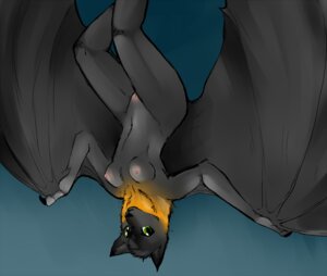 Rating: Explicit Score: 0 Tags: anthro bat blue_eyes breasts female fortuna looking_at_viewer nude pussy rule34 solo upside-down User: bunchy7s