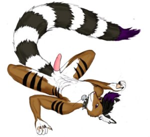 Rating: Explicit Score: 0 Tags: 2010 anthro balls bassariscus biped collar conditional_dnp cracky e621 ear_piercing erection genitals lying male mammal murdoc_ladysin nude on_back penis piercing procyonid ring-tailed_cat simple_background solo spiked_collar spikes spread_legs spreading tail white_background User: bunchy7s