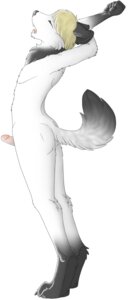 Rating: Explicit Score: 0 Tags: 1boy 2011 anthro arms_behind_head canine closed_eyes eyes fur furry leverpuller male male_only nude penis rule34 solo stretching wolf User: bunchy7s