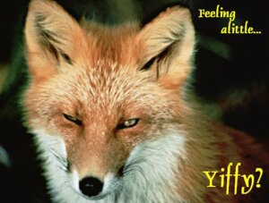 Rating: Safe Score: 0 Tags: ambiguous_gender canid canine e621 english_text feral fox grandfathered_content low_res mammal photography_(artwork) real red_fox solo text true_fox unknown_artist User: bunchy7s