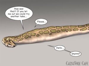 Rating: Questionable Score: 0 Tags: 4:3 ambiguous_gender brown_body brown_scales carnivore_cafe comic dialogue digital_media_(artwork) e621 english_text female female_prey feral feral_pred grey_eyes legless mammal markings nude pd_(artist) reptile scales scalie snake solo spots spotted_body spotted_scales text vore watermark what what_has_science_done white_body white_scales User: bunchy7s