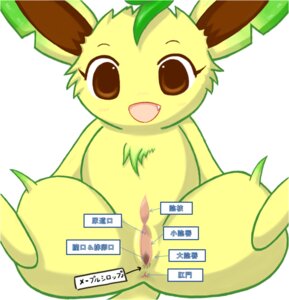 Rating: Explicit Score: 0 Tags: anatomy biological_illustration diagram directional_arrow e621 eeveelution female feral generation_4_pokemon genitals information_box japanese_text leafeon nintendo pokemon pokemon_(species) solo tack_(artist) technical_illustration text text_box translated vulva User: bunchy7s