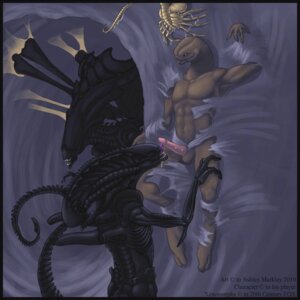 Rating: Explicit Score: 0 Tags: 1:1 2010 alien alien_(franchise) ambiguous_gender arthropod_webbing ashley_markley balls bodily_fluids bound crossover cum cum_on_face e621 english_text erection facehugger fellatio genital_fluids genitals group halo_(series) hi_res male microsoft oral penile penis sangheili sex tail text web_bondage xbox_game_studios xenomorph xenomorph_queen User: bunchy7s