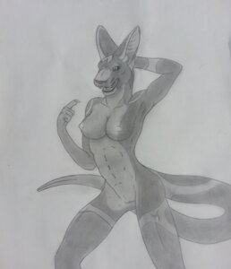 Rating: Explicit Score: 0 Tags: absurd_res anthro beckoning breasts chevronfox e621 female genitals gesture greyscale hi_res krii monochrome nicky_(artist) nipples nude raised_arm solo traditional_media_(artwork) vulva User: bunchy7s