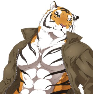 Rating: Safe Score: 0 Tags: anthro bare_chest biceps big_muscles big_pecs biped black_body black_fur clothed clothing countershading e621 felid fur giraffe_(artist) jacket lam-chan male mammal markings muscular muscular_anthro muscular_male one_eye_closed open_clothing open_shirt open_topwear orange_body orange_fur pantherine pecs pose shirt smile solo standing stripes tiger topwear white_body white_fur wink yellow_eyes User: bunchy7s Rating: Safe Score: 0 Tags: anthro bare_chest biceps big_muscles big_pecs biped black_body black_fur clothed clothing countershading e621 felid fur giraffe_(artist) jacket lam-chan male mammal markings muscular muscular_anthro muscular_male one_eye_closed open_clothing open_shirt open_topwear orange_body orange_fur pantherine pecs pose shirt smile solo standing stripes tiger topwear white_body white_fur wink yellow_eyes User: bunchy7s