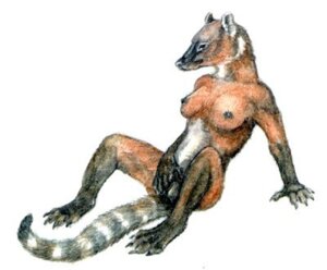 Rating: Explicit Score: 0 Tags: 2007 amagire breasts coati female fingering masturbation nude pussy rule34 solo spread_legs spreading vaginal_penetration User: bunchy7s
