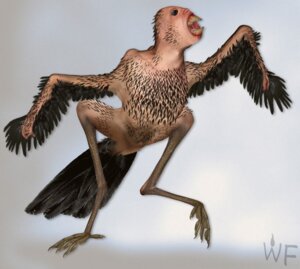 Rating: Questionable Score: 0 Tags: 4_toes ambiguous_gender anisodactyl avian avian_feet bird black_body black_feathers cannot_unsee corvid corvus_(genus) crow e621 eldritch_abomination feathered_wings feathers feet gums human hybrid lips mammal monster nightmare_fuel nipples on_one_leg oscine passerine pink_nipples raven realistic simple_background solo standing tan_body tan_skin teeth toes tongue transformation walking what what_has_science_done where_is_your_god_now white_background whiteflamek why wings User: bunchy7s
