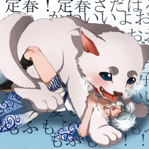 Rating: Explicit Score: 0 Tags: 1:1 bestiality bodily_fluids canid canine canis domestic_dog drooling duo e621 feral gintama gintoki_sakata human human_on_feral interspecies japanese_text male male_on_feral mammal sadaharu_(gintama) saliva size_difference text tongue tongue_out unknown_artist User: bunchy7s