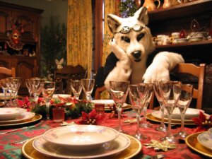 Rating: Safe Score: 0 Tags: 4:3 anthro canid canine canis classy clothing container costume cup e621 eyewear fursuit goblet goggles grandfathered_content grey_eyes hair latinvixen male mammal mask priam priamwolf real solo white_hair wolf User: bunchy7s