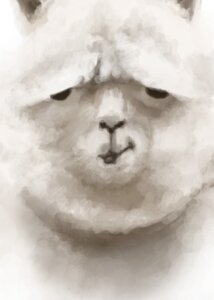 Rating: Safe Score: 0 Tags: alice810 ambiguous_gender black_eyes camelid e621 felid fur headshot_portrait llama looking_at_viewer mammal portrait solo what white_body white_fur User: bunchy7s Rating: Safe Score: 0 Tags: alice810 ambiguous_gender black_eyes camelid e621 felid fur headshot_portrait llama looking_at_viewer mammal portrait solo what white_body white_fur User: bunchy7s