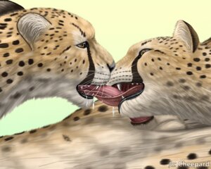 Rating: Explicit Score: 0 Tags: 5:4 ambiguous_gender anatomically_correct animal_genitalia animal_penis balls bodily_fluids cheepard cheetah collaborative collaborative_fellatio collaborative_oral collaborative_sex cum cum_on_tongue drooling e621 erection felid feline feline_genitalia feline_penis fellatio genital_fluids genitals group group_sex kissing licking male mammal navel oral oral_penetration penetration penile penis penis_lick saliva sex threesome tongue tongue_out trio yellow_eyes User: bunchy7s