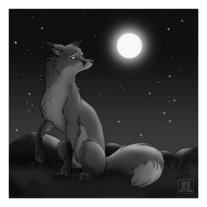 Rating: Safe Score: 0 Tags: 2010 ambiguous_gender border canid canine conditional_dnp detailed_background e621 feral fox full_moon greyscale mammal monochrome moon night outside quadruped red_fox sad sky solo star starry_sky tail tani_da_real toony true_fox white_border User: bunchy7s Rating: Safe Score: 0 Tags: 2010 ambiguous_gender border canid canine conditional_dnp detailed_background e621 feral fox full_moon greyscale mammal monochrome moon night outside quadruped red_fox sad sky solo star starry_sky tail tani_da_real toony true_fox white_border User: bunchy7s