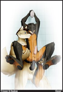 Rating: Explicit Score: 0 Tags: 2011 anal anal_penetration animal_genitalia animal_penis anthro anthro_on_anthro balls blue_eyes brown_hair canid canine canine_genitalia canine_penis canis duo e621 erection genitals hair hi_res knot male male/male male_penetrated male_penetrating male_penetrating_male mammal nude penetration penis sex shiuk shower shower_head simple_background tail white_background wolf User: bunchy7s