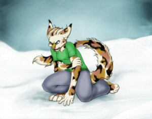 Rating: Safe Score: 0 Tags: anthro blood blue_eyes bodily_fluids bottomwear clothing e621 felid female mammal nosebleed outside pants shirt sky snow solo tail topwear whiskers zeriara User: bunchy7s Rating: Safe Score: 0 Tags: anthro blood blue_eyes bodily_fluids bottomwear clothing e621 felid female mammal nosebleed outside pants shirt sky snow solo tail topwear whiskers zeriara User: bunchy7s