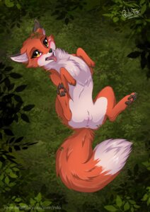 Rating: Explicit Score: 0 Tags: 2013 4_fingers 4_toes abby_(rukifox) anus black_lips black_nose blush canid canine catz chest_tuft claws digitigrade e621 exposure_variation eyelashes fangs feet female feral fingers fox fur genitals hindpaw humanoid_genitalia humanoid_vulva inner_ear_fluff leaf legs_up lips long_mouth looking_at_viewer looking_up lying mammal nude on_back open_mouth orange_body orange_fur outside pawpads paws plant red_fox rukifox snout soles solo spread_legs spreading teeth text toes tongue tongue_out true_fox tuft url vulva white_body white_claws white_fur yellow_eyes User: bunchy7s