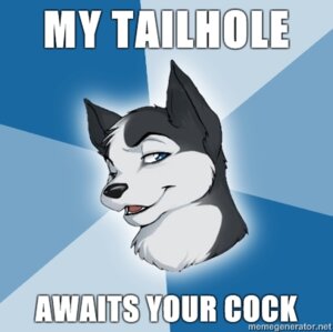 Rating: Safe Score: 0 Tags: 2010 advice_dog advice_meme anthro bedroom_eyes blue_eyes canid canine canis caption domestic_dog e621 english_text half-closed_eyes headshot_portrait humor husky inviting lol_comments low_res male mammal meme narrowed_eyes nordic_sled_dog portrait reaction_image seductive sibe smile solo spitz stated_homosexuality stated_sexuality text unknown_artist User: bunchy7s