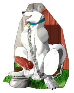 Rating: Explicit Score: 0 Tags: 2012 animal_genitalia animal_penis balls bdsm big_balls big_penis blue_eyes bodily_fluids bowl breath canid canine canine_genitalia canine_penis canis chain chain_leash clothing collar collar_tag container cum cum_on_balls cum_on_penis digitigrade doghouse domestic_dog dripping e621 erection fasttrack37d fence feral footwear fur genital_fluids genitals grass grey_body grey_fur happy hi_res husky implied_permanent knot leash loss_of_self male mammal nordic_sled_dog nude orgasm_from_transformation panting pawpads paws penis pet_bowl petplay plant portrait quadruped roleplay saliva shoes simple_background sitting solo spitz story story_at_source story_in_description tail thick_penis thong three-quarter_portrait tongue tongue_out transformation transformative_collar underwear white_body white_fur User: bunchy7s
