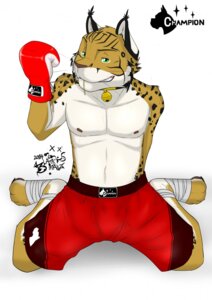 Rating: Questionable Score: 0 Tags: anthro bell blackmailz bottomwear boxing boxing_gloves clothed clothing collar e621 felid feline green_eyes handwear hi_res isaac_(blackmailz) looking_at_viewer lynx male mammal shorts solo sport topless User: bunchy7s