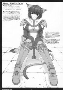 Rating: Explicit Score: 0 Tags: female final_fantasy final_fantasy_xi mithra mithra_spotting rule34 tagme User: bunchy7s
