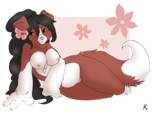 Rating: Explicit Score: 0 Tags: accessory anthro biped black_hair breasts brown_body brown_fur canid canine canis claws dipstick_tail dog_tags domestic_dog e621 female flower flower_in_hair fur genitals green_eyes hair hair_accessory long_hair looking_at_viewer lying mammal markings nipples nude on_side plant solo straydog tail tail_markings vulva white_body white_fur User: bunchy7s