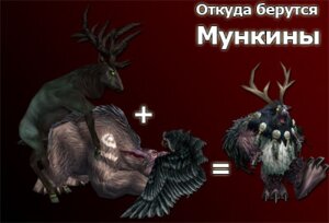 Rating: Explicit Score: 0 Tags: bear blizzard_entertainment deer female interspecies lowres male moonkin owl rule34 warcraft world_of_warcraft User: bunchy7s Rating: Explicit Score: 0 Tags: bear blizzard_entertainment deer female interspecies lowres male moonkin owl rule34 warcraft world_of_warcraft User: bunchy7s