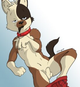 Rating: Explicit Score: 0 Tags: animal_genitalia anthro balls canid canine chest_tuft clothing collar confident e621 fully_sheathed fur genitals looking_at_viewer low_res male mammal sheath shenanigans solo tail tuft undressing User: bunchy7s