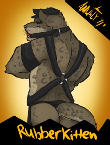 Rating: Explicit Score: 0 Tags: amwulf anthro ball_gag biceps biped blue_eyes bondage_gear brown_body brown_fur cheetah clothed clothing e621 felid feline fur gag gagged harness hat headgear headwear hi_res looking_at_viewer looking_back male mammal markings muscular muscular_anthro muscular_male rear_view solo spots standing tail thong topless underwear User: bunchy7s Rating: Explicit Score: 0 Tags: amwulf anthro ball_gag biceps biped blue_eyes bondage_gear brown_body brown_fur cheetah clothed clothing e621 felid feline fur gag gagged harness hat headgear headwear hi_res looking_at_viewer looking_back male mammal markings muscular muscular_anthro muscular_male rear_view solo spots standing tail thong topless underwear User: bunchy7s