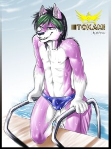 Rating: Explicit Score: 0 Tags: 2008 abs anthro biped black_hair black_nose bulge canid canine canis clothed clothing cloud colored countershading digital_media_(artwork) domestic_dog e621 eldiman evil_grin fangs front_view fur gloves_(marking) grin hair highlights_(coloring) husky inner_ear_fluff kneeling looking_at_viewer male mammal markings multicolored_body multicolored_fur navel nipples nordic_sled_dog outside pink_nipples purple_body purple_fur rape_face sky smile solo speedo spitz swimming_pool swimwear tail teeth tokami topless tuft two_tone_body two_tone_fur water wet white_body white_fur User: bunchy7s