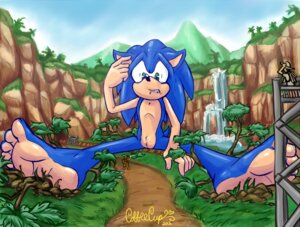 Rating: Questionable Score: 0 Tags: 2012 5_toes anthro blue_body blue_fur blue_hair cloud coffeecup_(artist) e621 eulipotyphlan feet foot_focus forest fur green_eyes group hair hedgehog hindpaw humanoid_feet jungle macro male mammal nude outside paws plant plantigrade sega sitting size_difference sky soles sonic_the_hedgehog sonic_the_hedgehog_(series) toes tree what User: bunchy7s