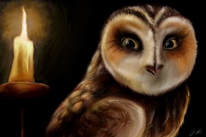 Rating: Safe Score: 0 Tags: 2011 avian bird candle darkness e621 eared_owl female feral gabriellegrotte guardians_of_ga'hoole hi_res otulissa owl short-eared_owl solo true_owl User: bunchy7s Rating: Safe Score: 0 Tags: 2011 avian bird candle darkness e621 eared_owl female feral gabriellegrotte guardians_of_ga'hoole hi_res otulissa owl short-eared_owl solo true_owl User: bunchy7s
