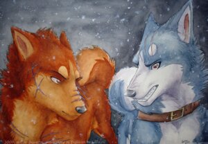 Rating: Safe Score: 0 Tags: akita canid canine canis collar domestic_dog duo e621 feral gin_(ginga) ginga_(series) janaita male mammal riki_(ginga) scar snow spitz tail winter User: bunchy7s