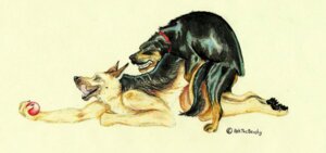 Rating: Explicit Score: 0 Tags: alekthebeasty anal anthro anthro_on_feral anthro_penetrated ball bestiality canid canine canis domestic_dog duo e621 eyes_closed feral feral_penetrating feral_penetrating_anthro german_shepherd herding_dog holding_ball holding_object interspecies male male/male male_on_feral male_penetrated male_penetrating male_penetrating_male mammal pastoral_dog penetration sex tongue tongue_out User: bunchy7s Rating: Explicit Score: 0 Tags: alekthebeasty anal anthro anthro_on_feral anthro_penetrated ball bestiality canid canine canis domestic_dog duo e621 eyes_closed feral feral_penetrating feral_penetrating_anthro german_shepherd herding_dog holding_ball holding_object interspecies male male/male male_on_feral male_penetrated male_penetrating male_penetrating_male mammal pastoral_dog penetration sex tongue tongue_out User: bunchy7s