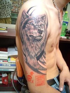 Rating: Safe Score: 0 Tags: 2008 3:4 abs canid canine canis clothed clothing e621 feral grandfathered_content human low_res male mammal nipples real solo tattoo tattoo_(artwork) topless unknown_artist wolf User: bunchy7s Rating: Safe Score: 0 Tags: 2008 3:4 abs canid canine canis clothed clothing e621 feral grandfathered_content human low_res male mammal nipples real solo tattoo tattoo_(artwork) topless unknown_artist wolf User: bunchy7s