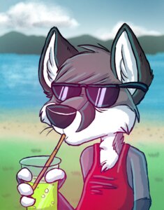 Rating: Safe Score: 0 Tags: 4_fingers anthro beverage big_head black_nose canid canine clothed clothing cloud container cup day drinking drinking_straw e621 eyewear fingerless_(marking) fingers food fox fur gloves_(marking) grass grey_body grey_fur holding_container holding_cup holding_object male mammal markings outside plant shirt sky solo sunglasses tank_top topwear water zerda-fox User: bunchy7s