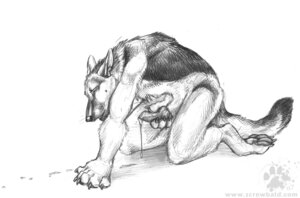 Rating: Explicit Score: 0 Tags: 2007 all_fours animal_genitalia animal_penis anthro balls blotch bodily_fluids canid canine canine_genitalia canine_penis canis claws cum cum_on_ground domestic_dog dripping e621 erection eyes_closed feet genital_fluids genitals german_shepherd greyscale herding_dog hindpaw knot male mammal masturbation monochrome nude pastoral_dog pawpads paws penile penile_masturbation penis scratches_volume_1 simple_background solo tail traditional_media_(artwork) white_background User: bunchy7s