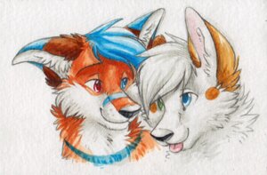 Rating: Safe Score: 0 Tags: 2014 ambiguous_gender arctic_fox black_nose blue_eyes blue_hair canid canine canis collar duo e621 eye_contact feral fox fur graphite_(artwork) green_eyes hair hair_over_eye happy headshot_portrait heterochromia hybrid looking_at_another mammal markings mixed_media one_eye_obstructed orange_body orange_fur painting_(artwork) portrait ravefox red_eyes romantic romantic_couple silentravyn simple_background smile tongue tongue_out traditional_media_(artwork) traditional_painting_(artwork) traditional_watercolor_(artwork) true_fox watercolor_(artwork) white_background white_hair wolf User: bunchy7s
