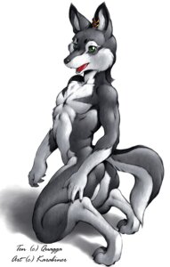 Rating: Questionable Score: 0 Tags: 4_fingers anthro biped butt canid canine canis claws digitigrade domestic_dog e621 ear_piercing feet fingers fur gloves_(marking) green_eyes grey_body grey_fur hi_res karabiner kneeling looking_aside male mammal markings nude piercing side_view simple_background solo tail white_background white_body white_fur User: bunchy7s