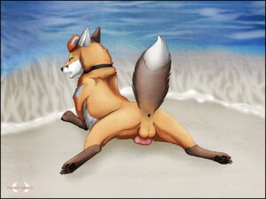 Rating: Explicit Score: 0 Tags: 2012 4:3 4_toes anatomically_correct anatomically_correct_genitalia anatomically_correct_penis animal_genitalia animal_penis anus backsack balls beach butt canid canine canine_genitalia canine_penis claws collar digitigrade e621 erection feet feral fox fur genitals hindpaw knot looking_at_viewer looking_back lying male mammal nude on_front outside paper-wings pawpads paws penis raised_tail seaside solo spread_legs spreading tail toes User: bunchy7s Rating: Explicit Score: 0 Tags: 2012 4:3 4_toes anatomically_correct anatomically_correct_genitalia anatomically_correct_penis animal_genitalia animal_penis anus backsack balls beach butt canid canine canine_genitalia canine_penis claws collar digitigrade e621 erection feet feral fox fur genitals hindpaw knot looking_at_viewer looking_back lying male mammal nude on_front outside paper-wings pawpads paws penis raised_tail seaside solo spread_legs spreading tail toes User: bunchy7s