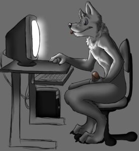 Rating: Explicit Score: 0 Tags: 1boy 2010 anthro canine computer fur furry leverpuller male male_only masturbation nude penis rule34 side_view solo tongue wolf User: bunchy7s