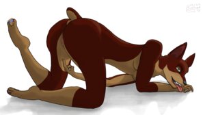 Rating: Explicit Score: 0 Tags: 2013 all_fours anthro anus biped black_nose breasts butt canid canine caninepilot canis condom dobermann docked_tail domestic_dog e621 female genitals gesture green_eyes hand_gesture looking_at_viewer lying mammal on_front pinscher pointing pointy_ears presenting prick_ears sexual_barrier_device short_tail smile solo tail tongue vulva User: bunchy7s Rating: Explicit Score: 0 Tags: 2013 all_fours anthro anus biped black_nose breasts butt canid canine caninepilot canis condom dobermann docked_tail domestic_dog e621 female genitals gesture green_eyes hand_gesture looking_at_viewer lying mammal on_front pinscher pointing pointy_ears presenting prick_ears sexual_barrier_device short_tail smile solo tail tongue vulva User: bunchy7s