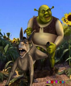 Rating: Explicit Score: 0 Tags: anthro donkey donkey_(shrek) dreamworks equine fur furry gay hardtoon.com male male_only mammal penis rule34 shrek shrek_(film) shrek_(series) tagme warts User: bunchy7s