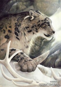 Rating: Safe Score: 0 Tags: 2009 ambiguous_gender antlers bust_portrait carving cave detailed detailed_background e621 felid feral horn khaosdog knife leopard_spots mammal pantherine paws piercing portrait realistic rock snow snow_leopard solo spots traditional_media_(artwork) User: bunchy7s Rating: Safe Score: 0 Tags: 2009 ambiguous_gender antlers bust_portrait carving cave detailed detailed_background e621 felid feral horn khaosdog knife leopard_spots mammal pantherine paws piercing portrait realistic rock snow snow_leopard solo spots traditional_media_(artwork) User: bunchy7s