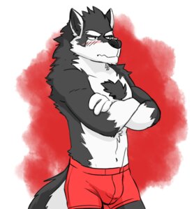 Rating: Questionable Score: 0 Tags: anthro biceps black_body black_fur black_nose blush boxers_(clothing) bulge canid canine canis chest_tuft clothed clothing countershading crossed_arms e621 frown fur genchi male mammal muscular muscular_anthro muscular_male orion_(aluminemsiren) red_clothing red_underwear solo tail topless tuft underwear underwear_only white_body white_fur wolf User: bunchy7s