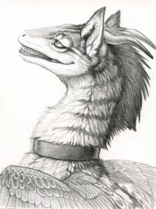 Rating: Safe Score: 0 Tags: 2009 2_horns ambiguous_gender bust_portrait collar dragon e621 ears_up feathered_dragon feathered_scalie feathered_wings feathers feral fur furred_dragon furred_scalie graphite_(artwork) greyscale hibbary horn longer_spine_fur mohawk monochrome mythological_creature mythological_scalie mythology nude portrait scalie side_view smile solo stripes traditional_media_(artwork) wings User: bunchy7s Rating: Safe Score: 0 Tags: 2009 2_horns ambiguous_gender bust_portrait collar dragon e621 ears_up feathered_dragon feathered_scalie feathered_wings feathers feral fur furred_dragon furred_scalie graphite_(artwork) greyscale hibbary horn longer_spine_fur mohawk monochrome mythological_creature mythological_scalie mythology nude portrait scalie side_view smile solo stripes traditional_media_(artwork) wings User: bunchy7s