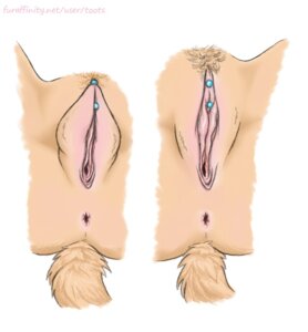 Rating: Explicit Score: 0 Tags: 2013 anatomically_correct anatomically_correct_genitalia anatomically_correct_vulva animal_genitalia animal_vulva anthro anus canid canine canine_genitalia canine_vulva clitoral_hood clitoris clitoris_piercing close-up comparison crotch_shot digital_media_(artwork) e621 faceless_character faceless_female female genital_close-up genital_piercing genital_shot genitals isabella_piercing mammal piercing pubes solo tail toots toots_(character) vulva vulva_close-up vulva_piercing vulva_shot User: bunchy7s
